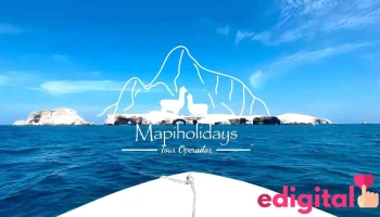 MapiHolidays - Travel Agency - Ica 11001