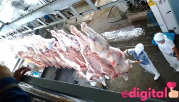 Matadero Frigorífico Industrial Oxapampa S.a. - Carretera A Pozuzo Km