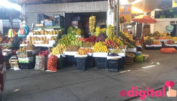 Mercado Mayorista Grau Tacna - Tacna 23001