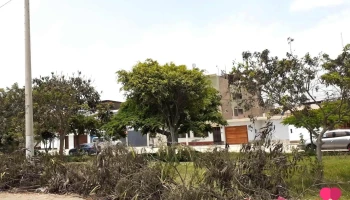 Ministerio Trabajo Cañete - San Vicente De Cañete 15701