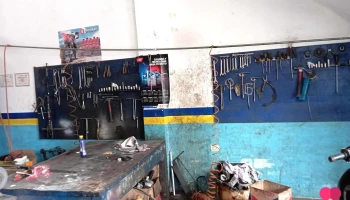 Motorepuestos willy - Soritor 22810 Motorepuestos willy - Soritor 22810