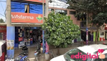 Msfarma Botica Y Perfumeria - Ica
