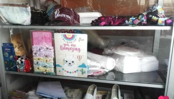 Multiservicios Los Reyes - Pucallpa 25001