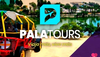 PalaTours - Agencia de Viajes y Turismo en Ica, Paracas y Nazca | Tours y Transporte Turístico - Ica 11002