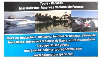 Paloma Tours Perú - Ica 11631
