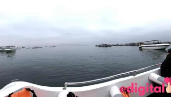 Paracas Holiday - Paracas 11550
