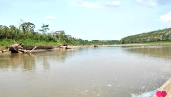 Parque Nacional Alto Purus - Perú Parque Nacional Alto Purus - Perú