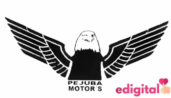 Pejuba Motor's - Ayaviri 21866 Pejuba Motor's - Ayaviri 21866