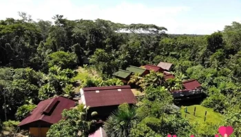 Peru Tours Ecoadventure Amazon Lodge en Iquitos - Iquitos 16200