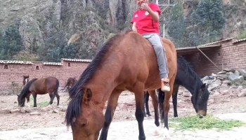 Pony Playtime - Ollantaytambo 08675