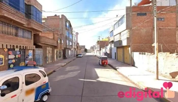 Procesadora Agroindustrial Nuevo Imperio E.i.r.l. - 7 De Junio