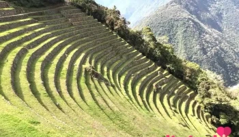 Puma Path - Ollantaytambo 08676