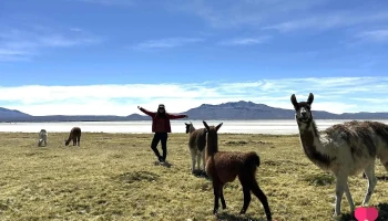 Roky Travel - Arequipa 04001