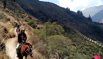 Rutas Huallata - Ollantaytambo 08676
