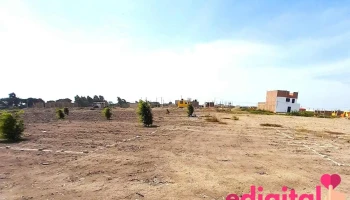 Sandra - Ferreñafe 14311