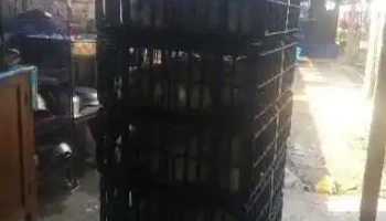 Señor del pollo - Rioja 22825