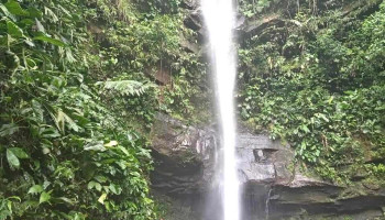 Shamiro Tours-Tarapoto - Tarapoto 22202