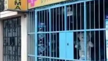 Sjm Farma - San Luis