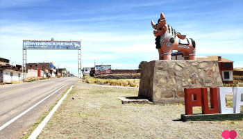 Terminal Pucara - Juliaca 21101