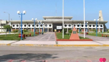 Terminal Terrestre - Ilo 18601