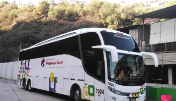 Terminal Wari Palomino - Av. Panamericana