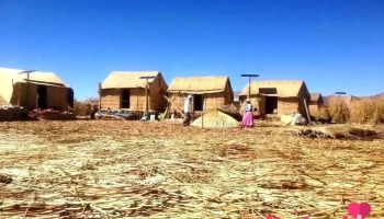 Tours en Puno - Puno 21001