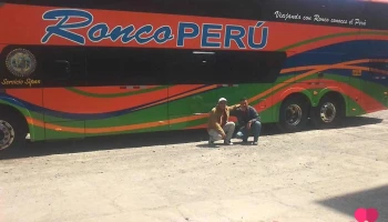 transportes Ronco Peru Tumbes - Tumbes 24002