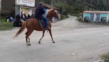 Turismo Huari - Huantar 02300