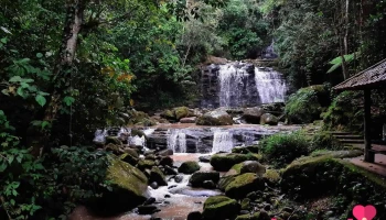 Turiviajes Moyobamba - Moyobamba 22001