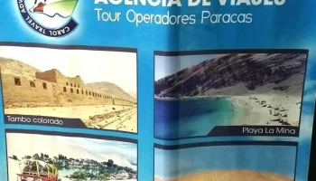 Vive Peru Tour Srl - Paracas