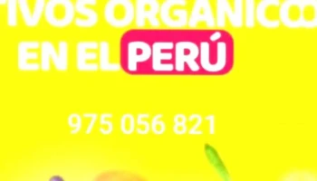 Wayuperú - Agencia Tacna 2025 - Av. San Martin 611