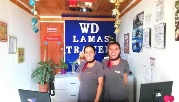 Wd Lamas Travel - Lamas 22160
