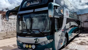 Z Buss - Caraz 02167