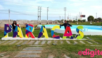 Zarcillo Connections | Tours en Paracas, Islas Ballestas y Lineas de Nazca - Paracas 11550