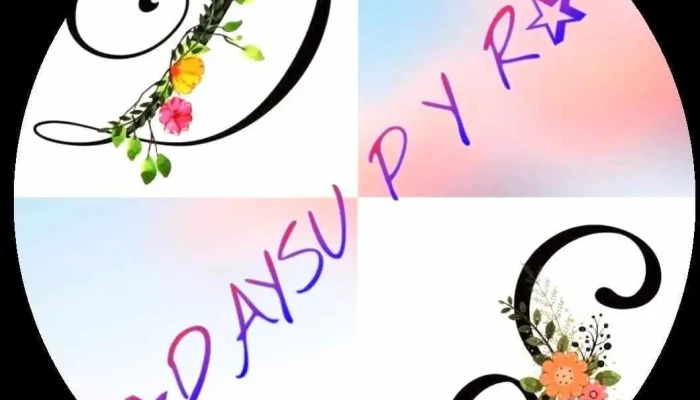 Accesorios Daysu -  Del Propietario - Sullana
