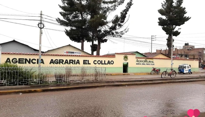 Agencia Agraria El Collao AgroRural - Ilave 21501