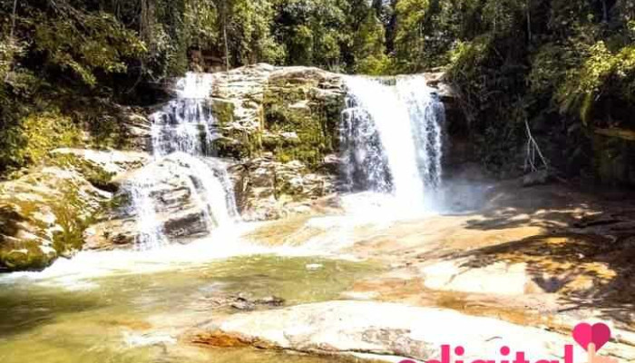 Agencia De Viajes Y Turismo Sintsiri Tours ( Pangoa) - 12321