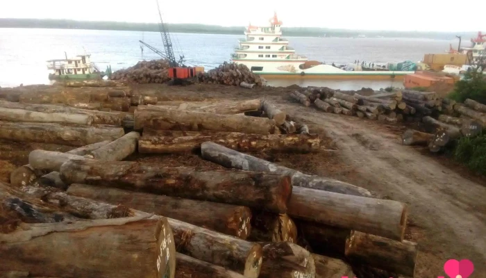 Agencia Fluvial Y Transportes Neyser E.i.r.l - Pucallpa 25001