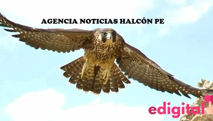 Agencia Noticias Halcón pe - Peru