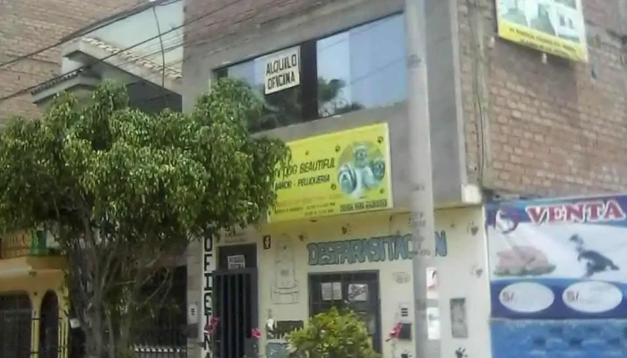 Alquiler De Oficinas En Huaral - Huaral 15201