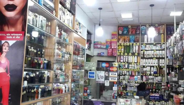 Andaly S.a.s - Santiago De Surco 15038