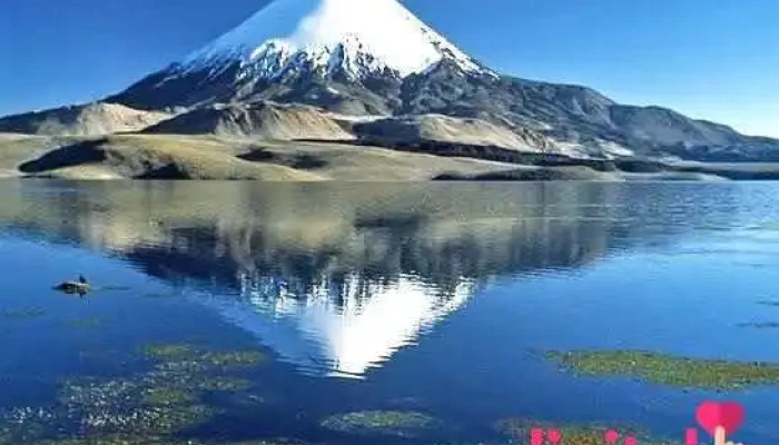 Andesmar Chile - Lima