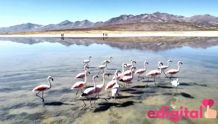 Arequipa Explorer Tour - Arequipa 04001