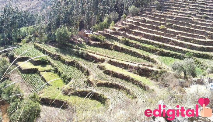 Aroni Travel en cusco / interior Hotel Kiswar Lodg - Ollantaytambo 08676