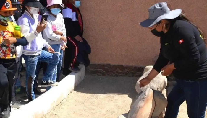 Aventura Inka Tour (sucursal) - Tacna 23001