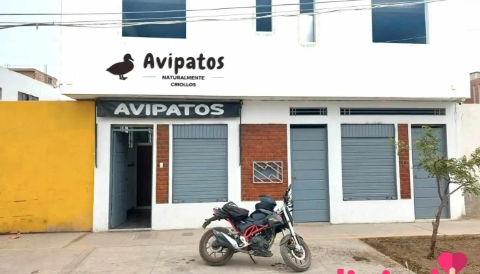Avipatos (Patos Criollos) - Santa María 15137