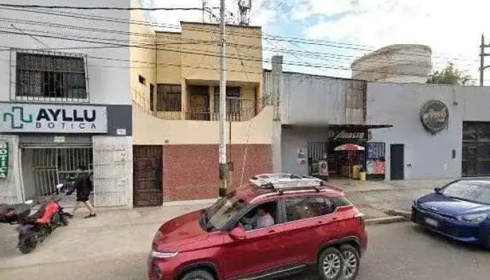 Ayllu Botica -  Sitio Webdeg - Víctor Larco Herrera