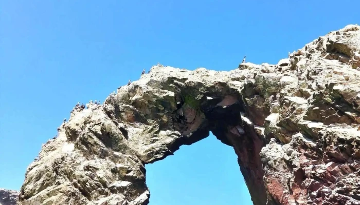 Ballestas Tours Pisco - Paracas 11550