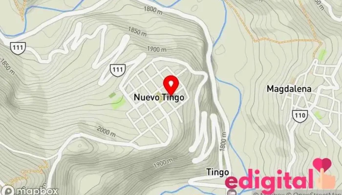 mapa de Botica Adrián Farmacia en Nuevo Tingo