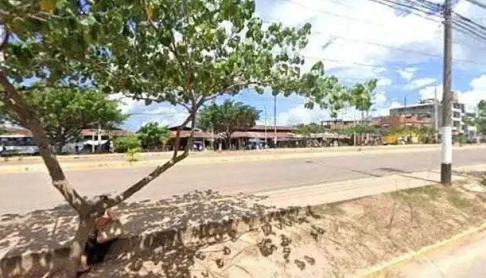 Botica Alfa -  Sitio Web - Pucallpa